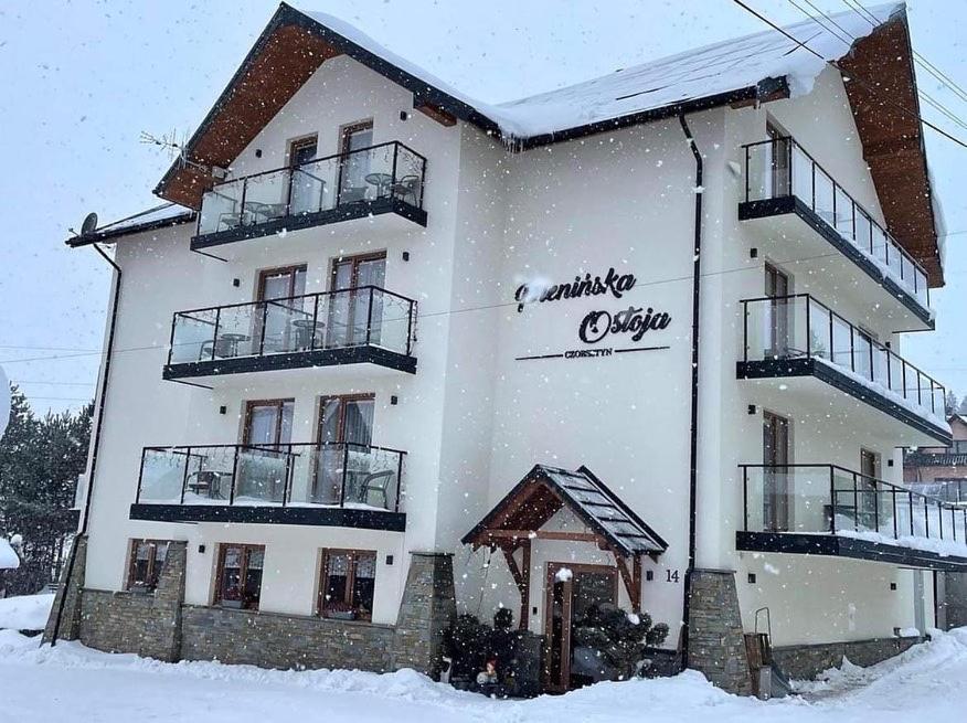 Bed and Breakfast Pieninska Ostoja Czorsztyn Esterno foto